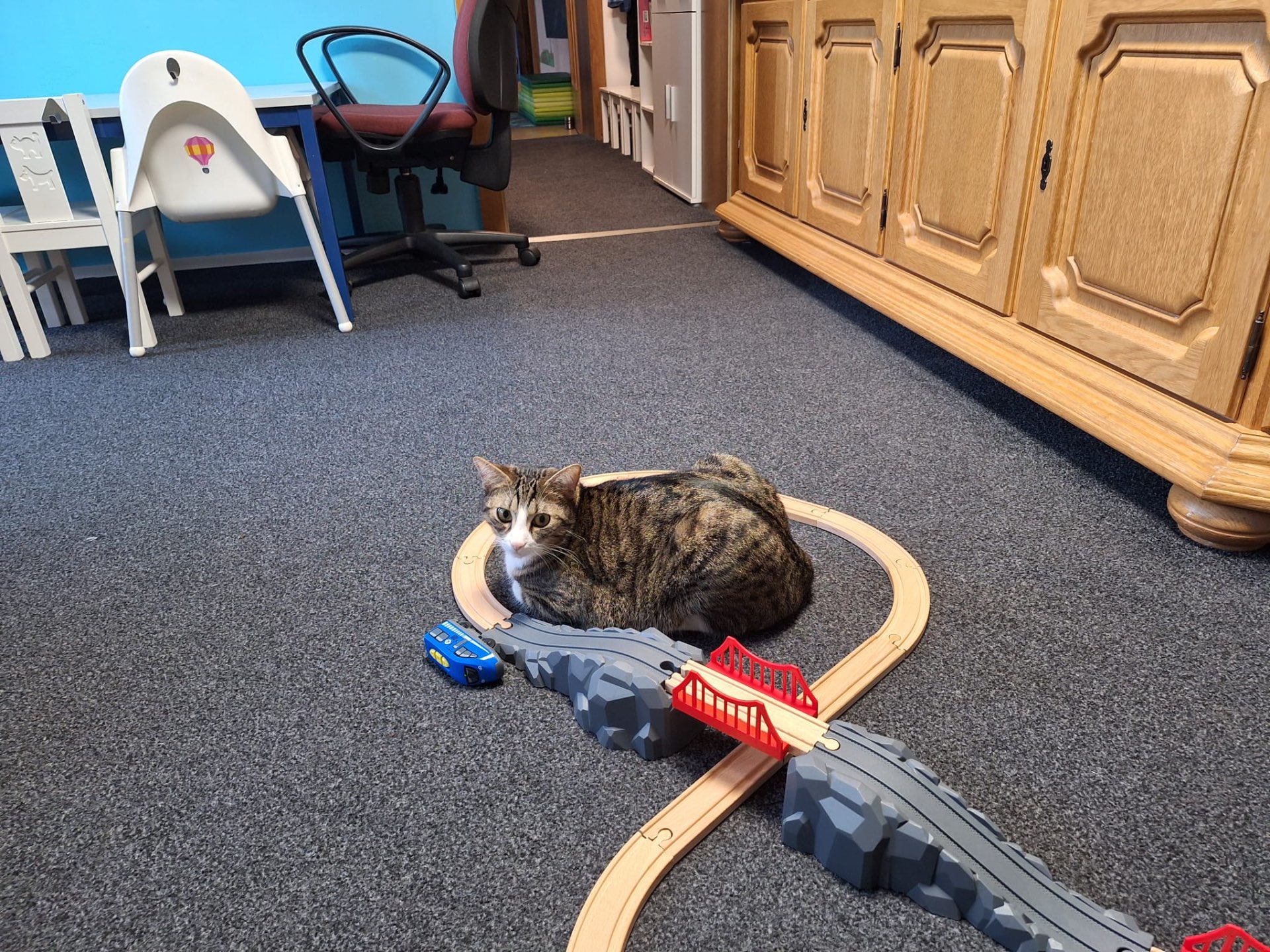 Kater Sammy liegt mitten in einer aufgebauten Holzeisenbahn