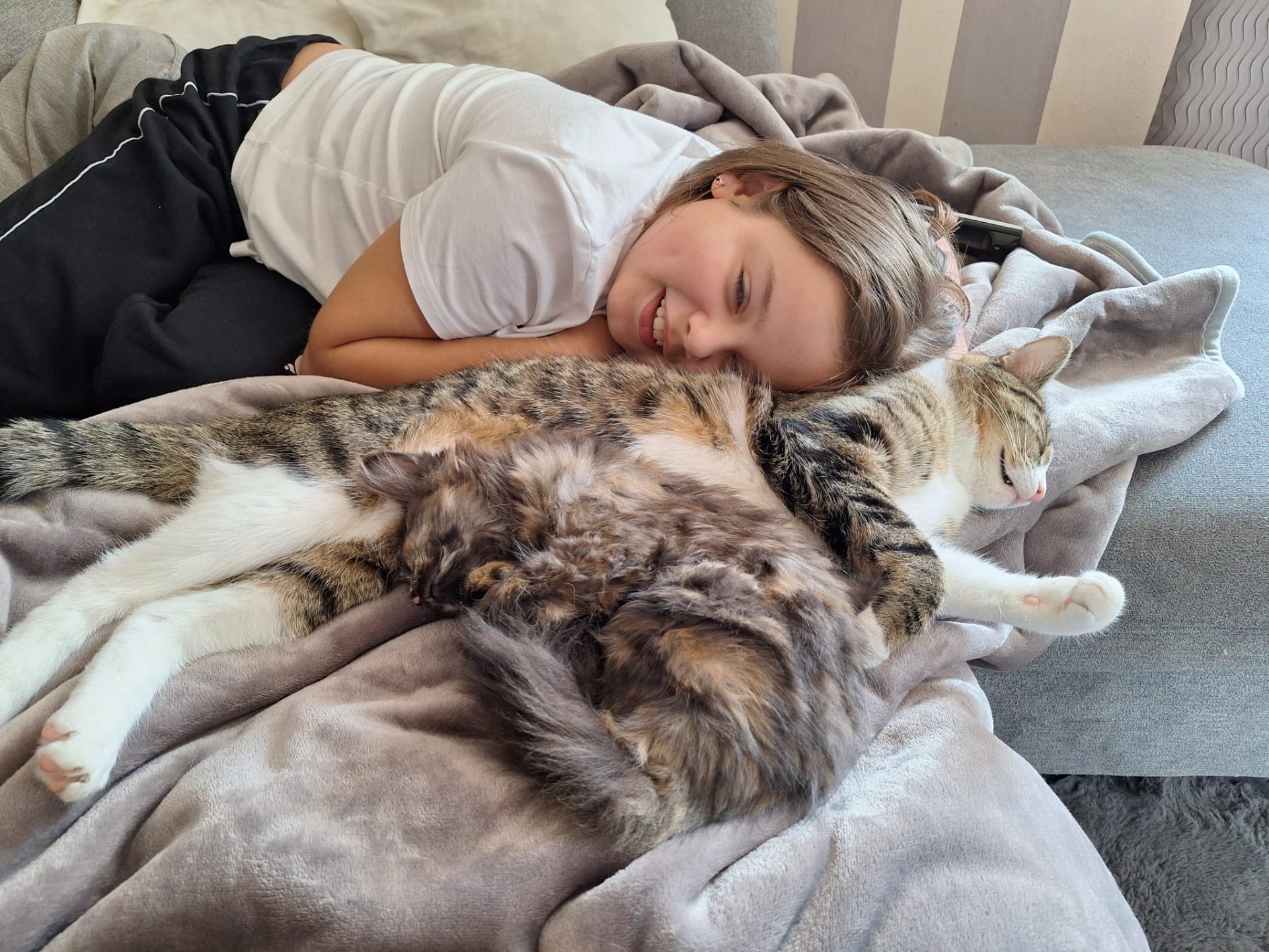 Kind kuschelt auf der Decke mit zwei Katzen