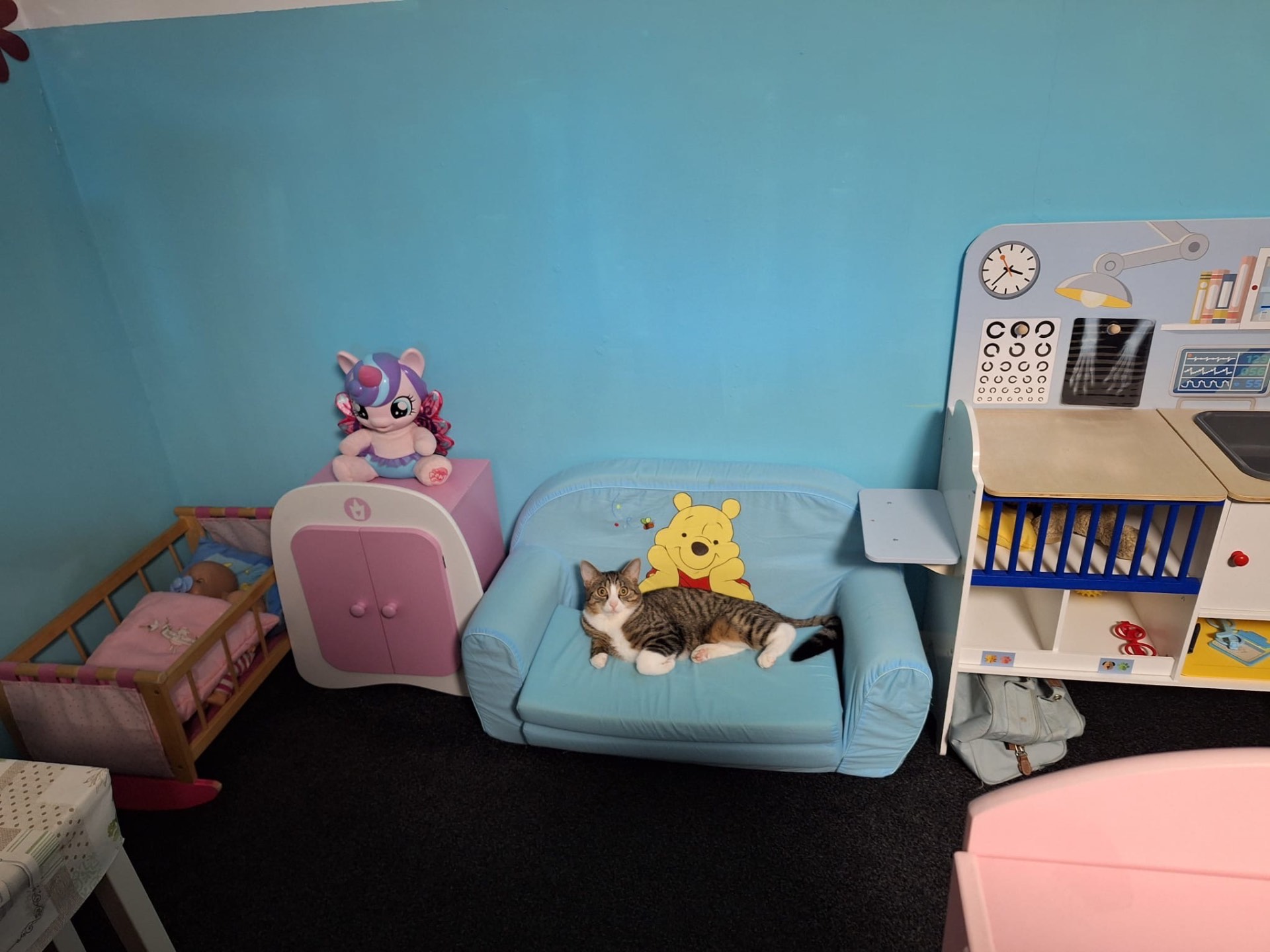 Kater Sammy liegt auf dem kleinen Sofa in der Spielecke